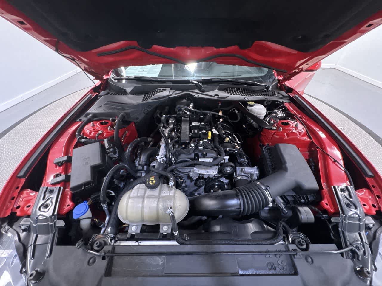 2023 Ford Mustang EcoBoost