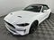 2023 Ford Mustang EcoBoost