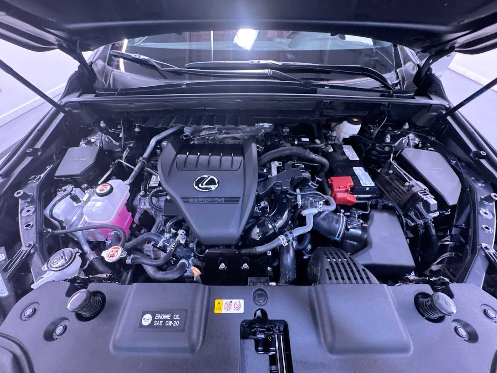 2024 Lexus NX 350 NX 350