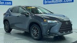 2024 Lexus NX 350 NX 350