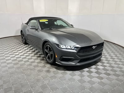 2025 Ford Mustang EcoBoost Premium