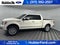 2009 Ford F-150 Platinum